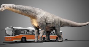 Facts About Argentinosaurus