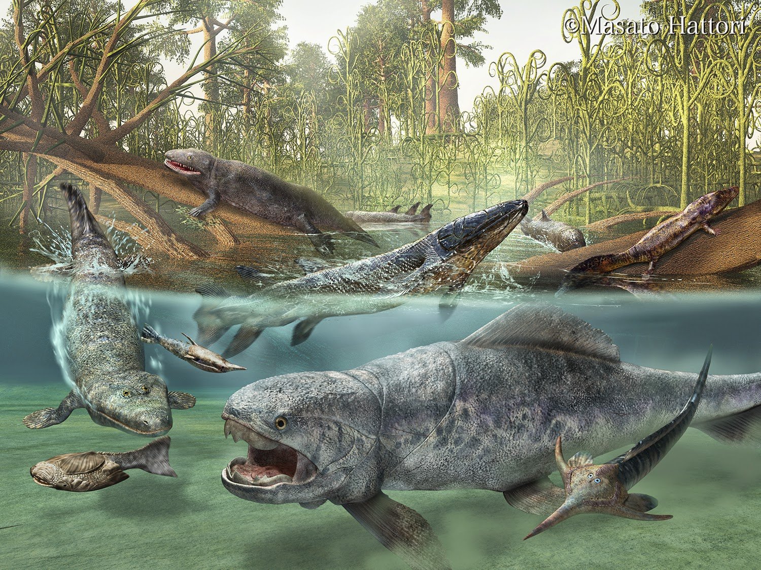 Devonian Period