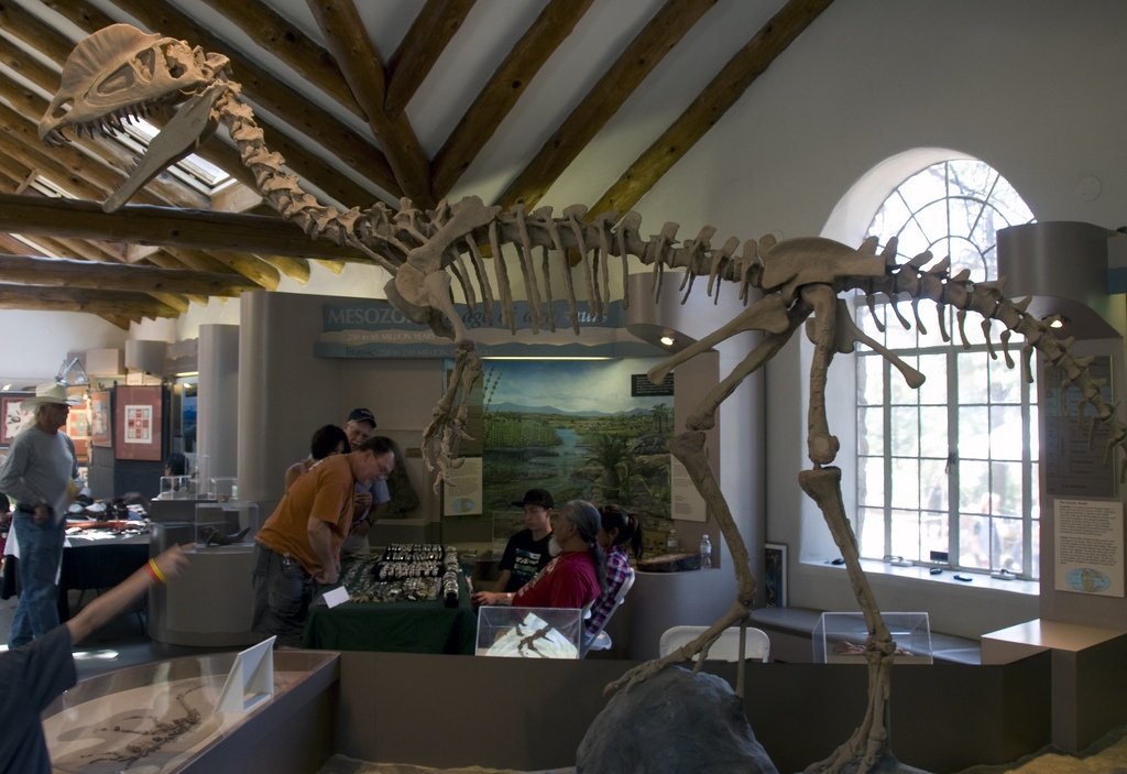 Dilophosaurus-sceleton