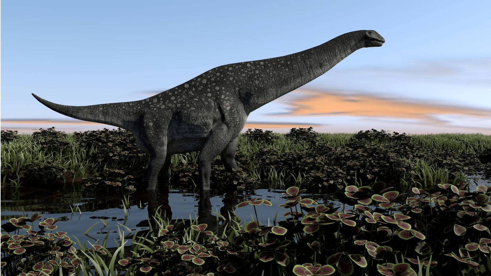 Titanosaurus