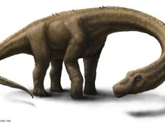 World's Largest Dinosaur
