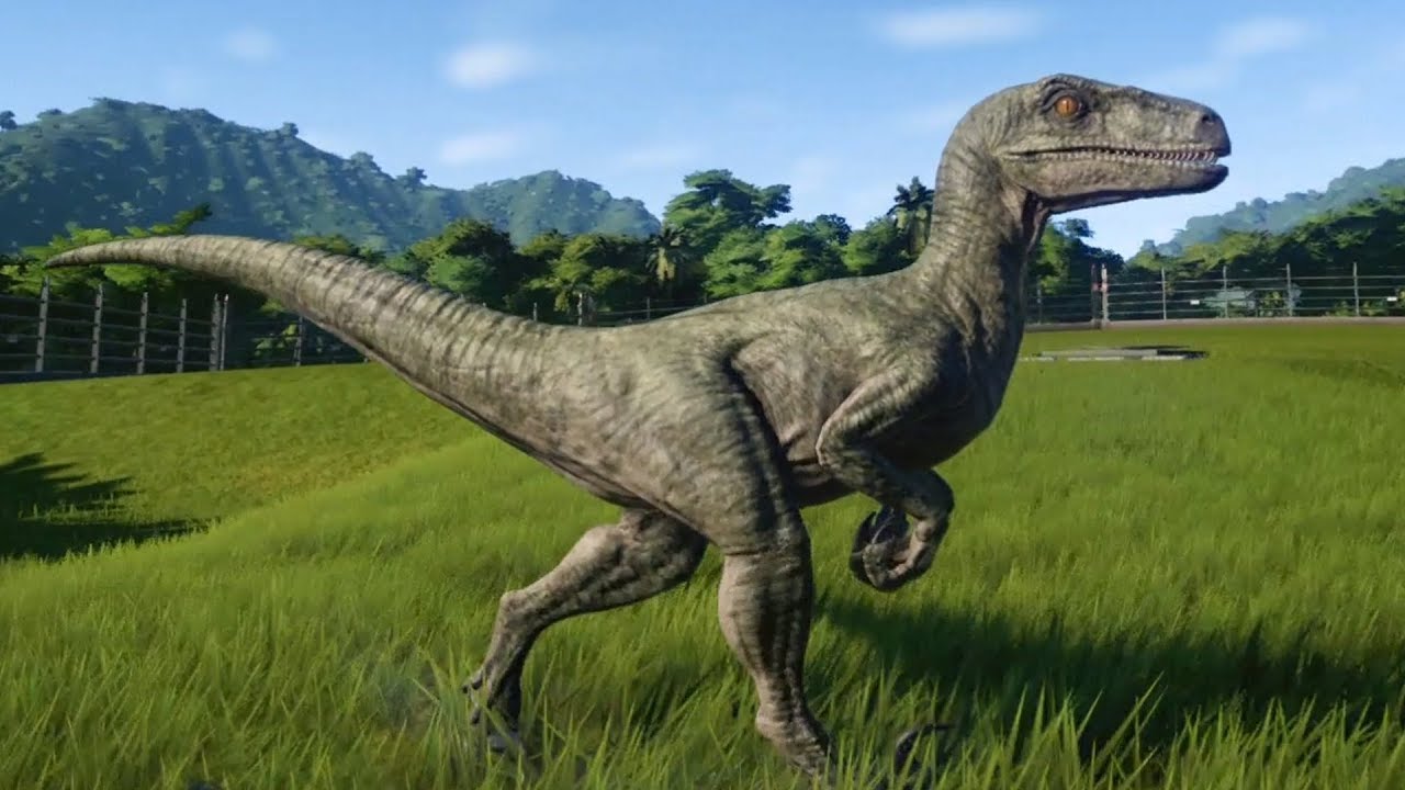 Velociraptor is a genus of dromaeosaurid theropod dinosaur that lived approximately 75 to 71 million years ago