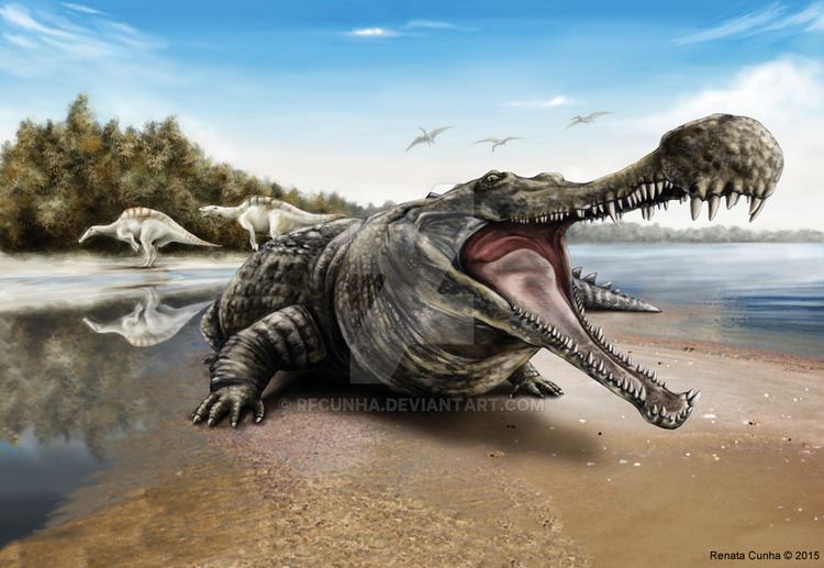 sarcosuchus-3