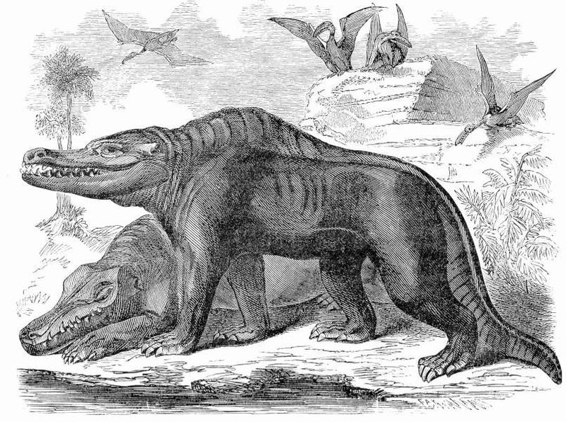 Megalosaurus 
