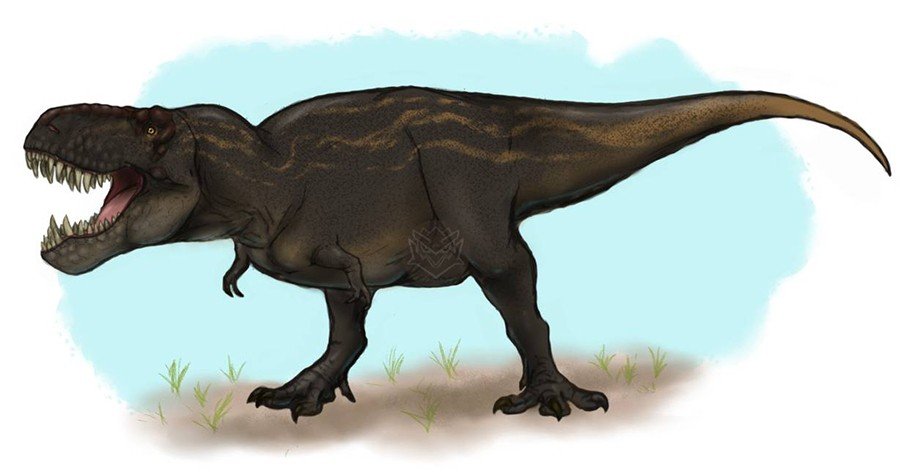 T-Rex Awesome Dinosaurs