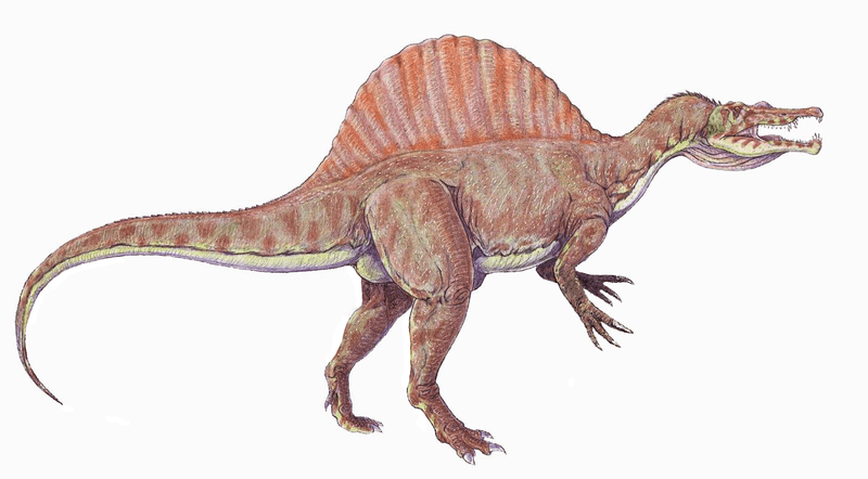 Spinosaurus 