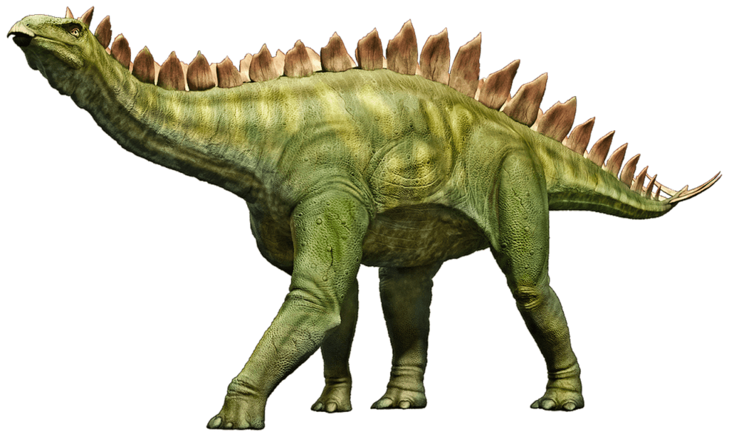Stegosaurus 