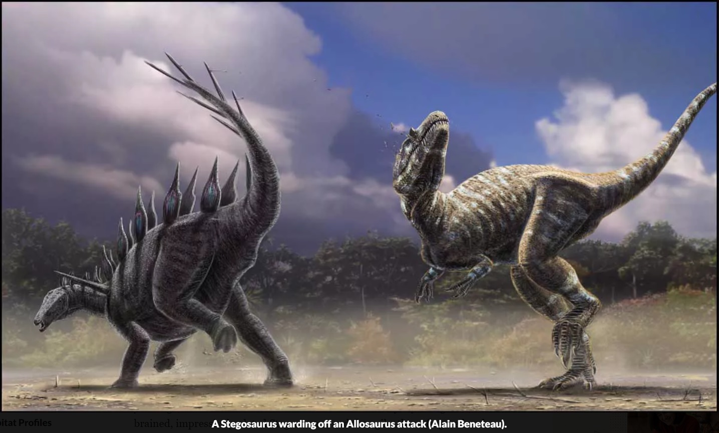 Allosaurus vs. Stegosaurus