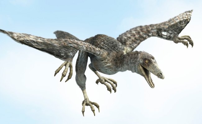 Flying dinosaurs