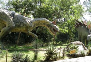 Dinosaurs park