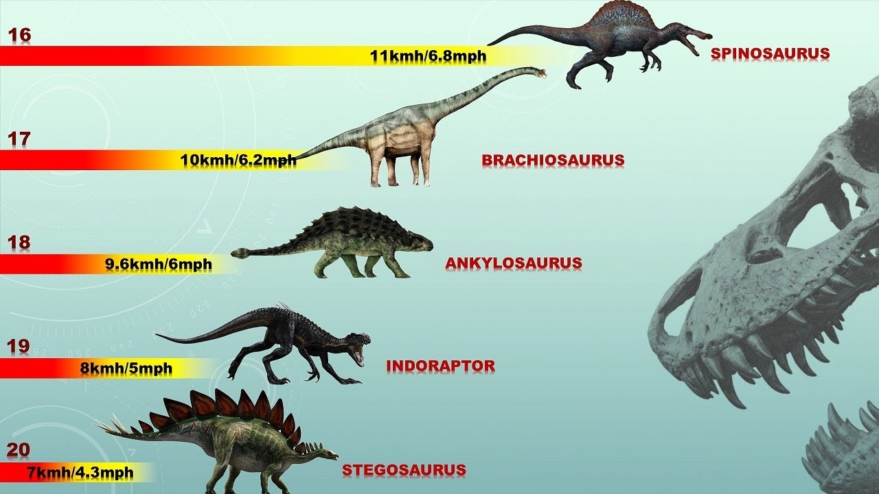 How Fast Could Dinosaurs Run