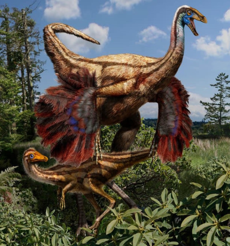 fosil-Ornithomimus