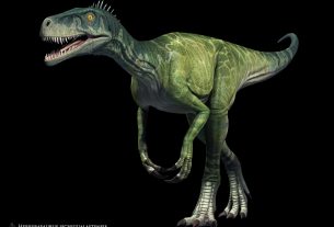 Herrerasaurus by Vlad Konstantinov